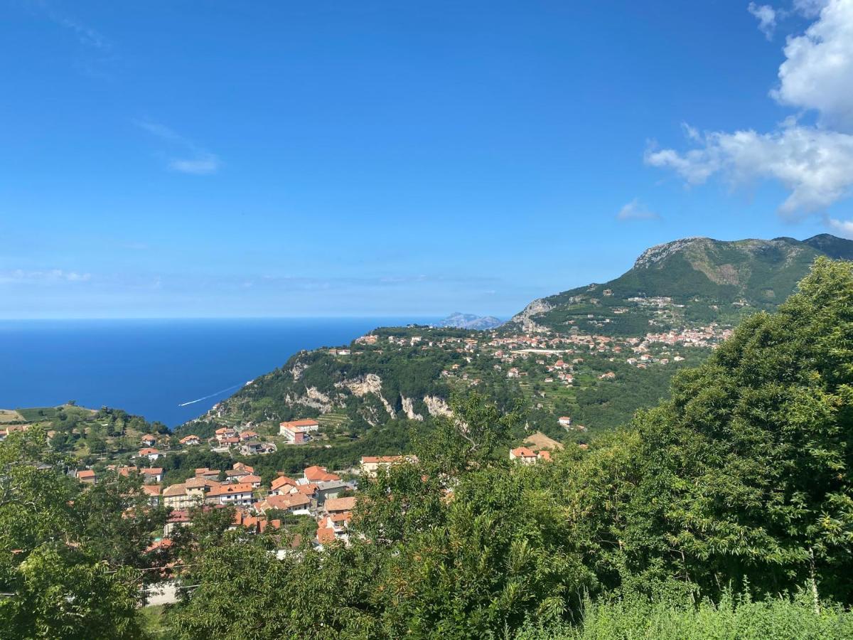 B&B Villa Reginella Agerola Exteriör bild