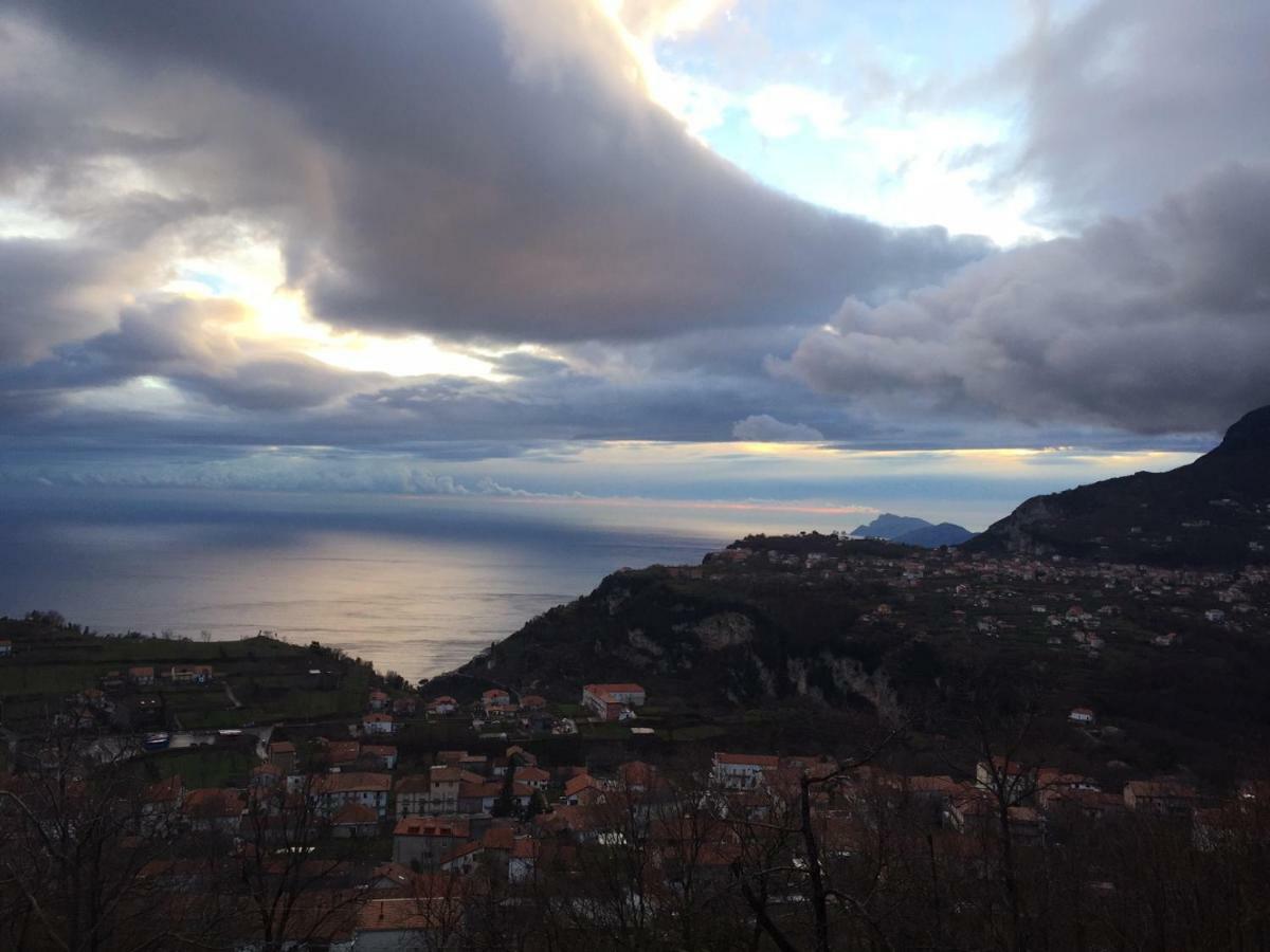 B&B Villa Reginella Agerola Exteriör bild
